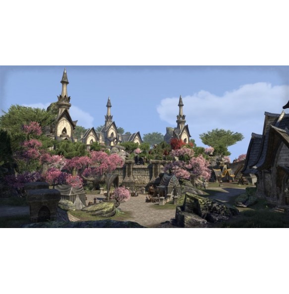 The Elder Scrolls Online PS4