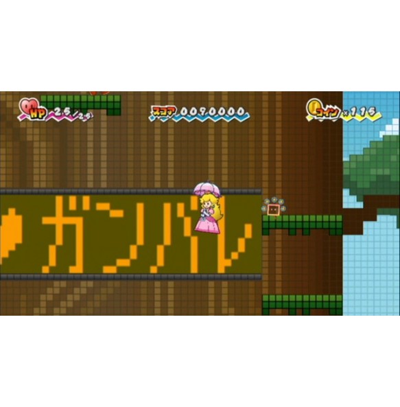 Super Paper Mario Wii